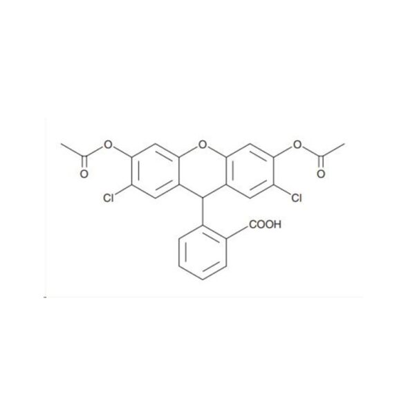 细胞二价铁离子（Fe2+）荧光法检测试剂盒 – 美仑生物