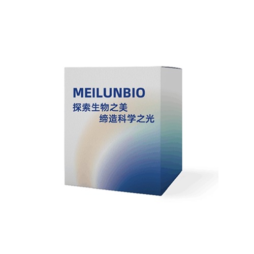 Meilunbio低飞克极超敏ECL发光液(10ML)