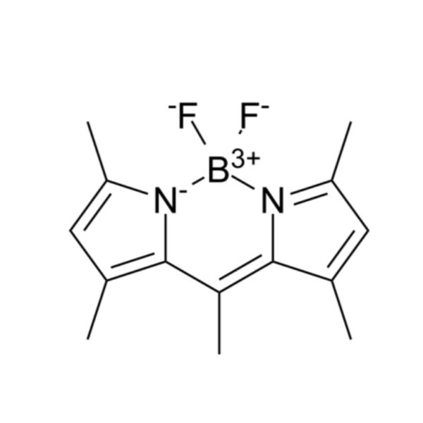 BODIPY 493/503 – 美仑生物